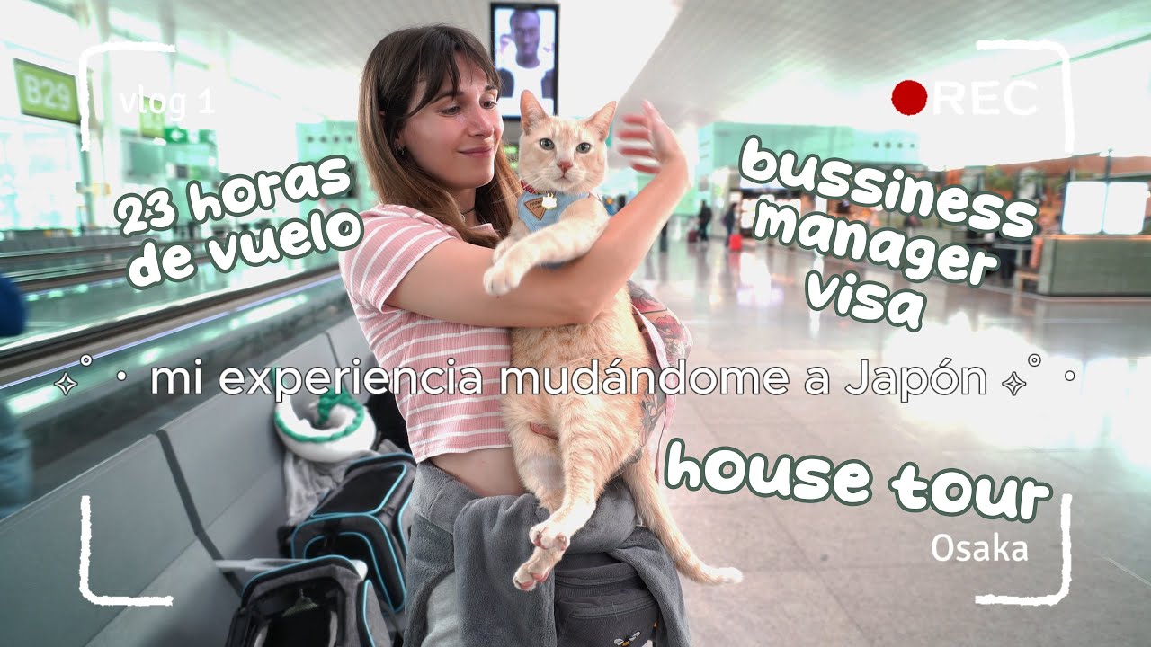 Me mud&eacute; a Jap&oacute;n con mi peque&ntilde;o negocio y mis 4 gatos 🌻 Mi experiencia