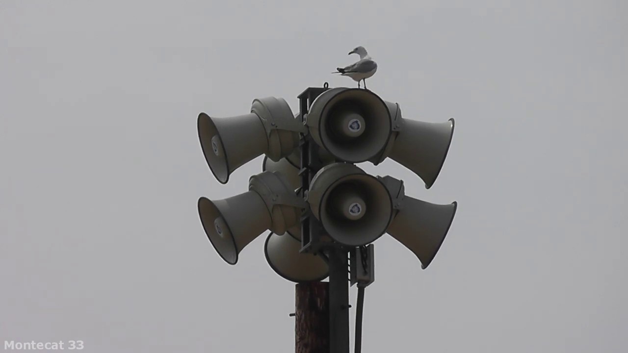 ASC E-Class EC-8 Siren Test, Alert & Attack, Michigan City, IN