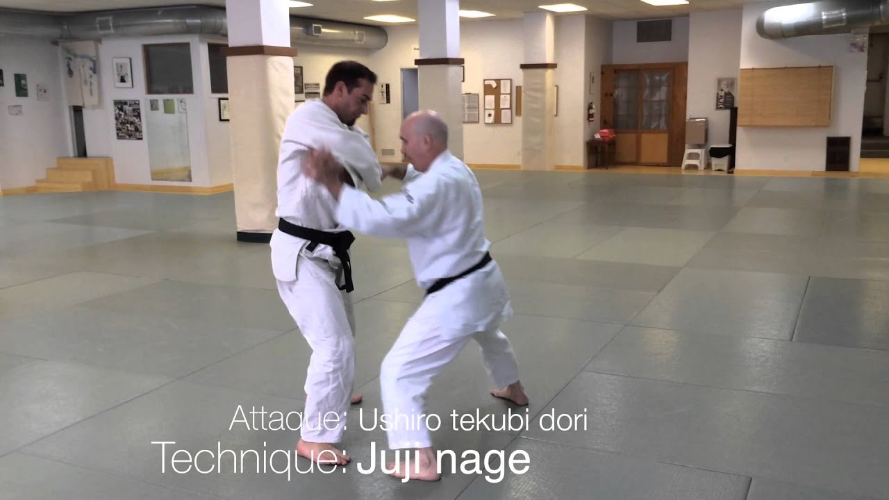 Test 2 kyu Aikido USAF ver 2