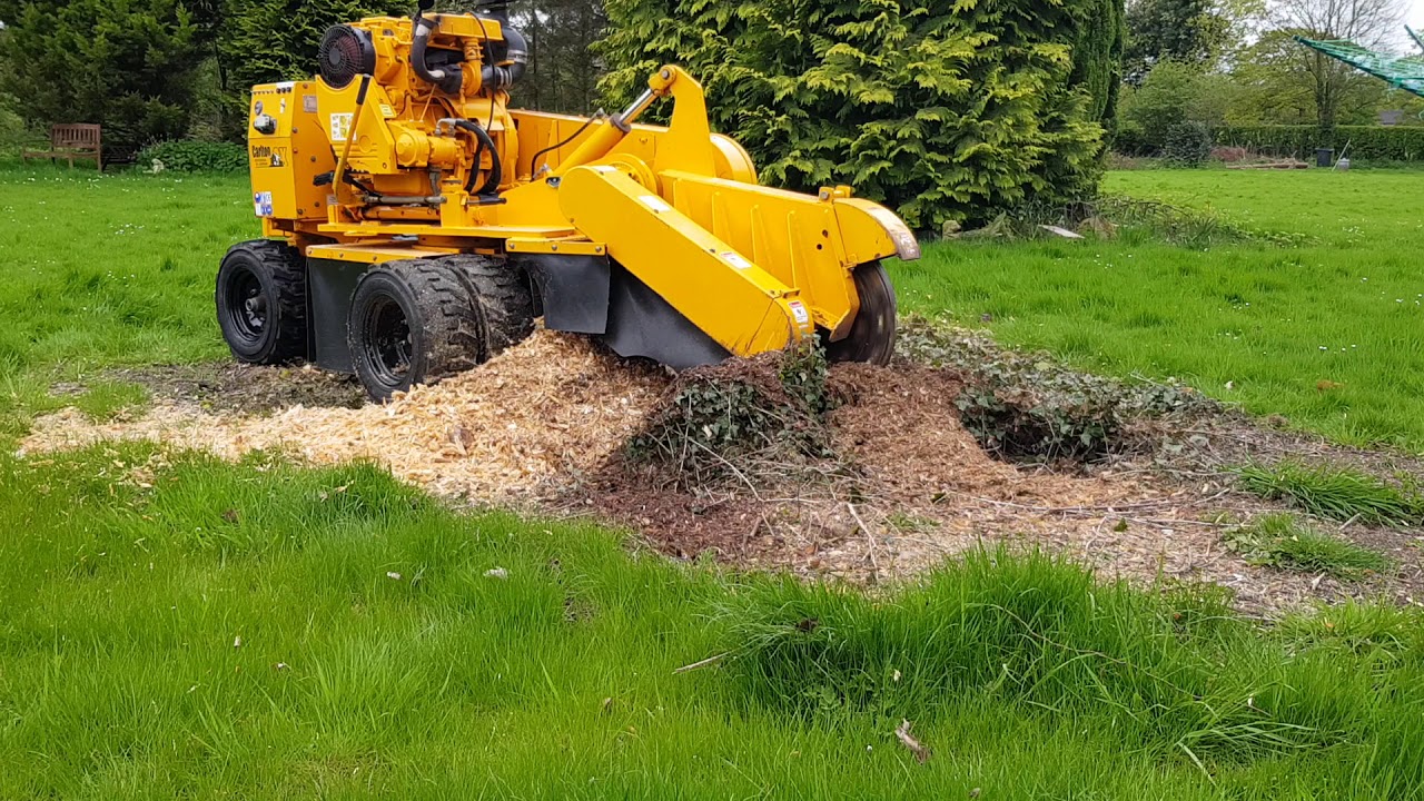 Carlton SP7015 vs Cherry stump treestump-removal.co.uk