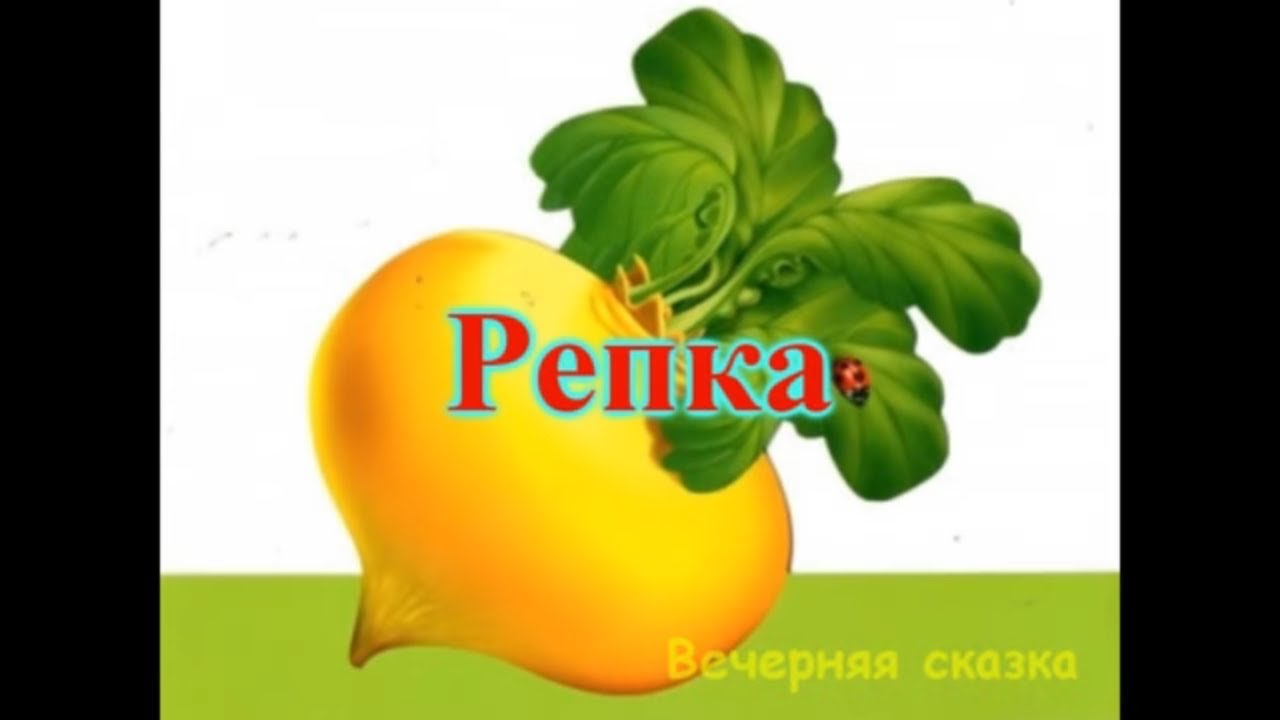 Репка.