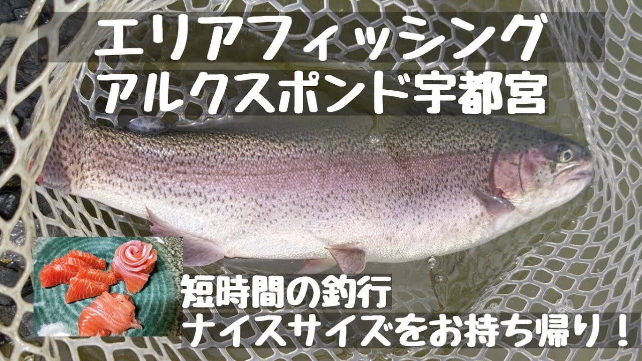 エリアフィッシング【管理釣り場】アルクスポンド宇都宮 ナイスサイズをお持ち帰り！