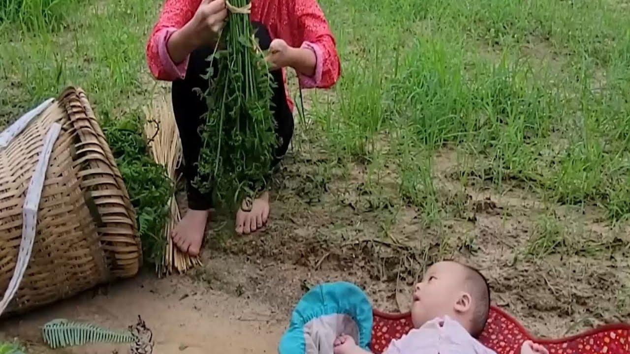 A Single Mother and Her Baby Forced to Sleep in the Forest After Dark ⭐