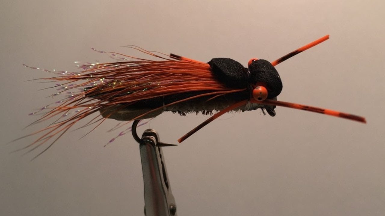 Tying the Cicada