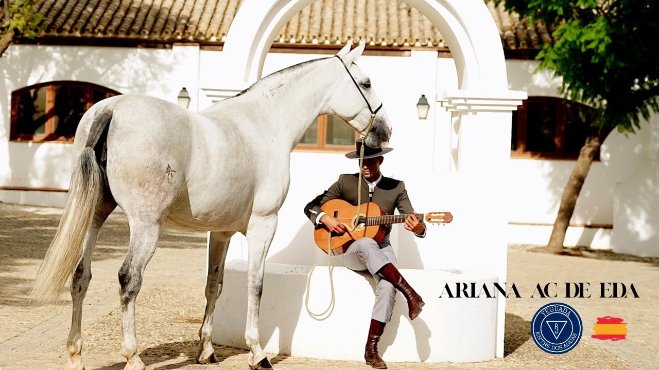 ARIANA AC DE EDA. VIDEO PRE SICAB 2025