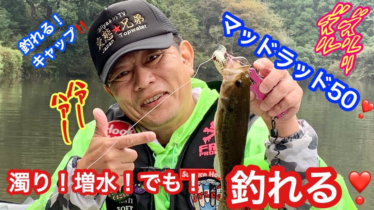 [FROGPRODUCTS][マッドラッド50]トップウオーター釣れる!!!キャップをかぶれば濁り・増水でも釣れちゃうよ!!!!!Japan Topwater Bass Fishing