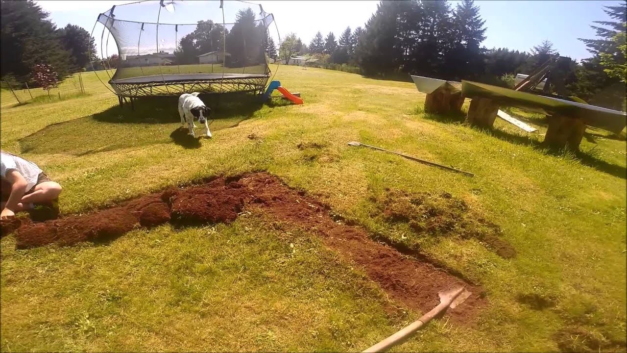 BUCKIN'S POTATOE PATCH