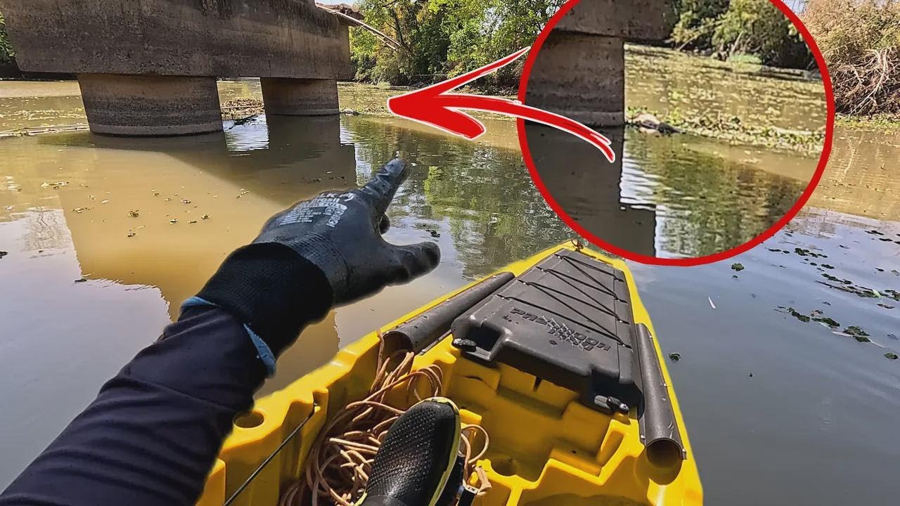 I Was Shocked by an Anaconda During My Magnet Fishing Adventure
