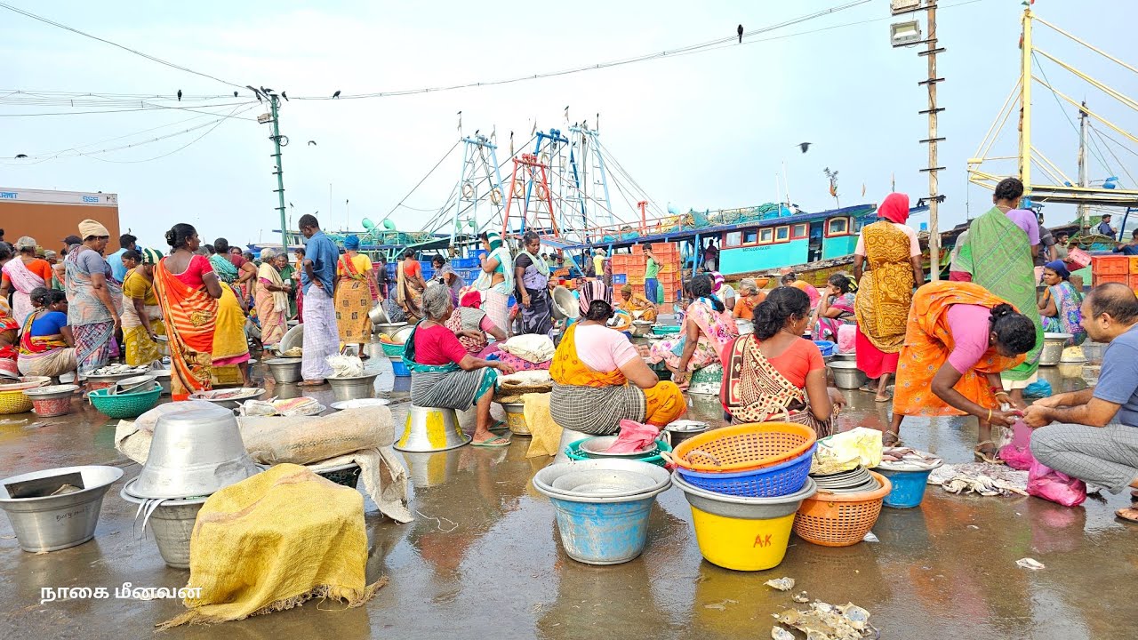 நாகப்பட்டினத்தின் மிகப்பெரிய மீன்பிடி துறைமுகம்/BIGGEST FISHING HORBOUR IN NAGAPATTINAM