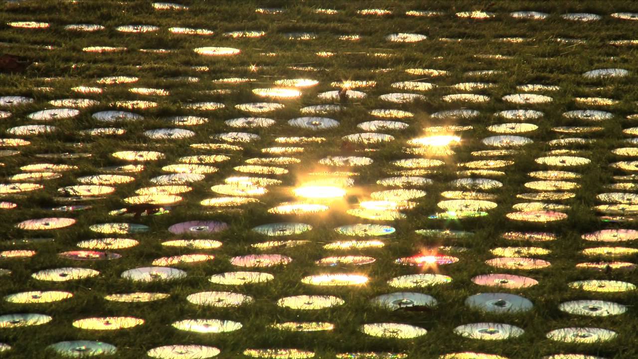 Bruce Munro - Angel of Light