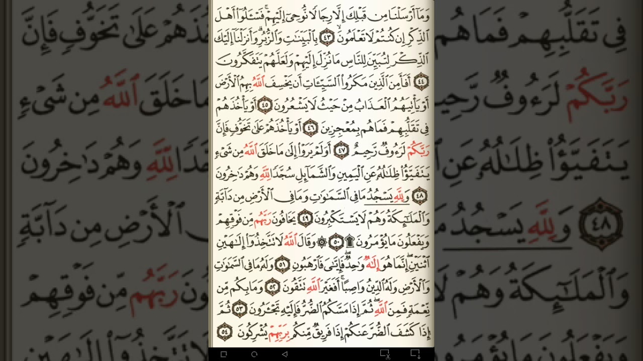 ماهر المعيقلي سورة النحل مكتوبة صفحة 272 مصحف المدينة المنورة جودة عالية