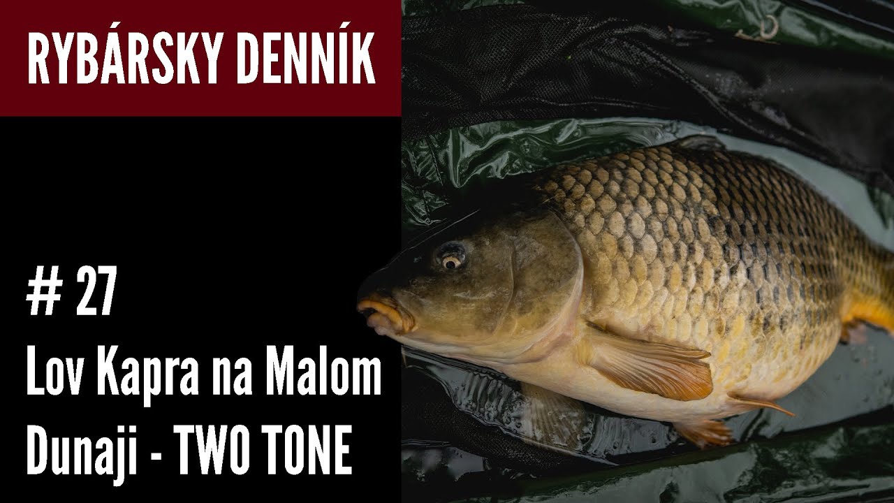 Lov Kapra na Malom Dunaji - Kapor Two Tone│Rybársky Denník Jakuba Fabiana #27