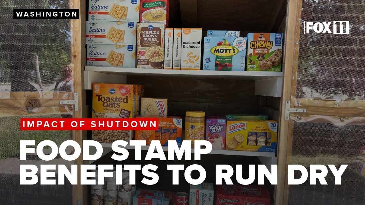 SNAP food stamps program about to run out of money due to shutdown; 42 million to lose benefits