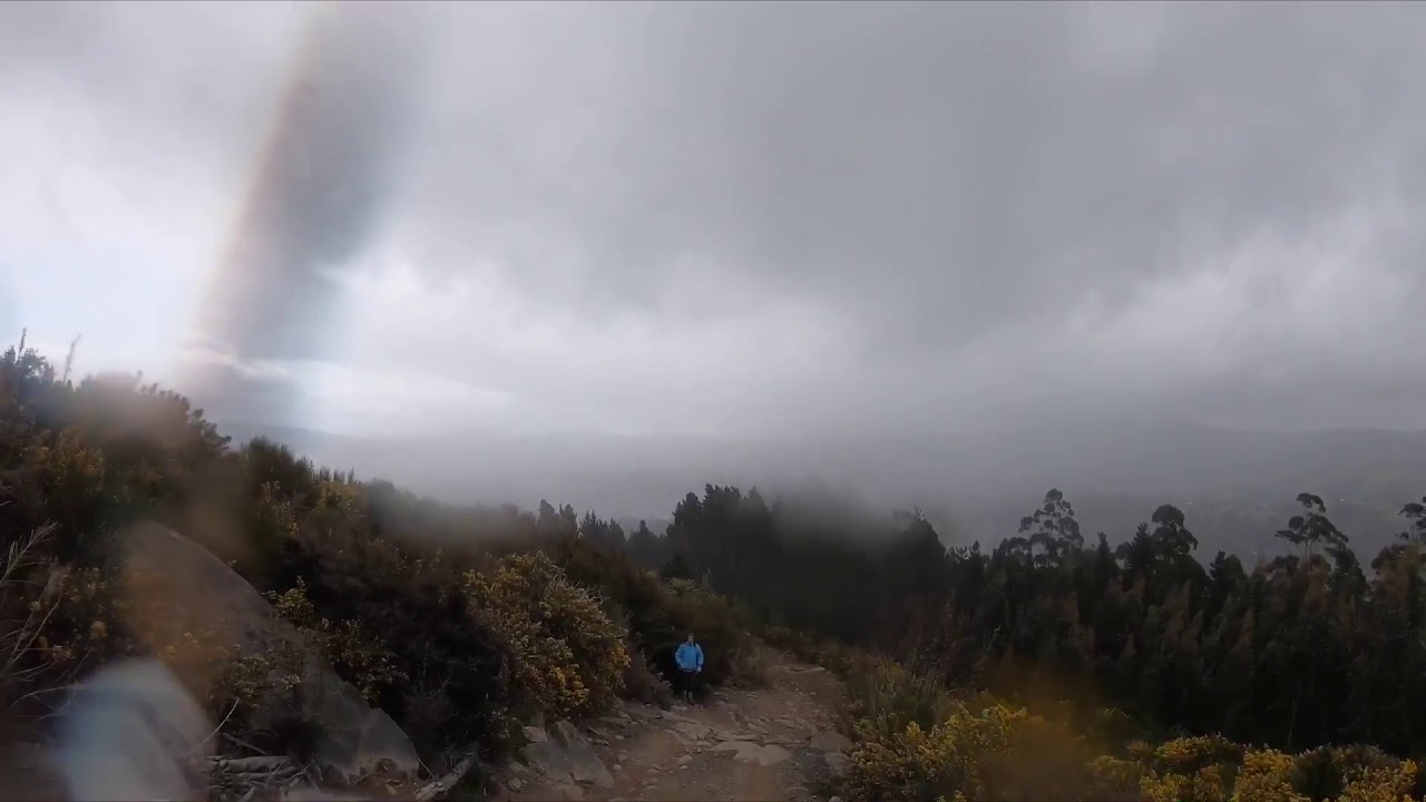 Ginger Cougar! Signal Hill MTB