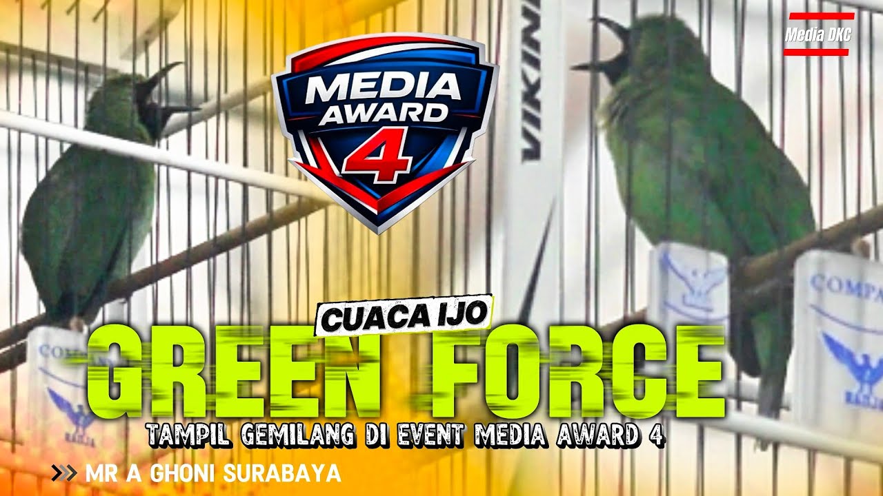 MEDIA AWARD 4‼️CUCAK IJO GREEN FORCE TAMPIL APIK BESUTAN MR MR A GHONI SURABAYA