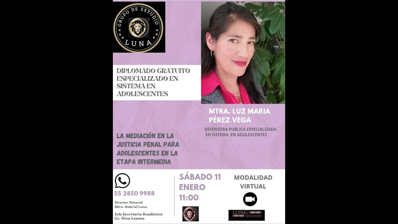 La mediacion en la justicia penal para adolescentes, Luz María Pérez