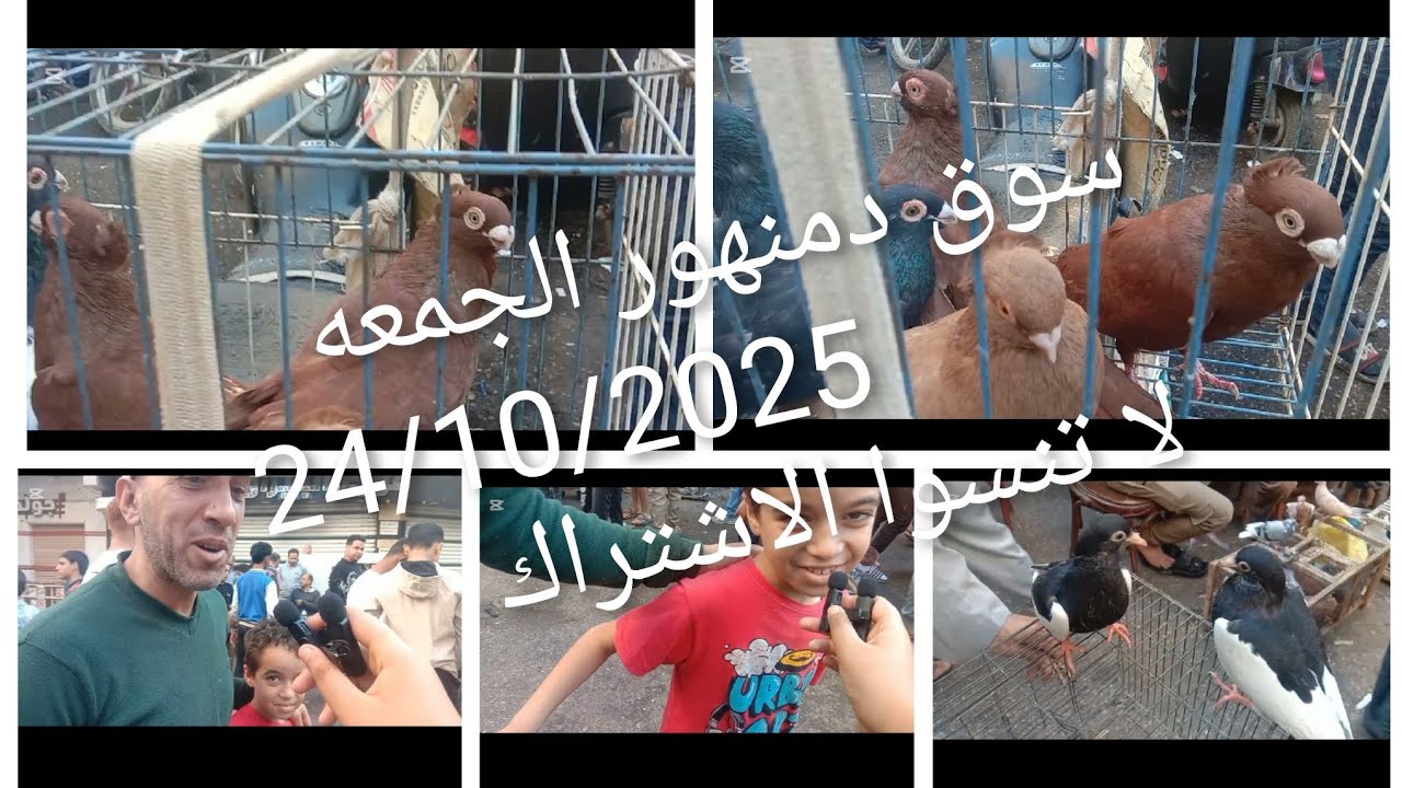 سوق دمنهور والناس الجميله 24/10 لا تنسوا الاشتراك شجعوني استمر