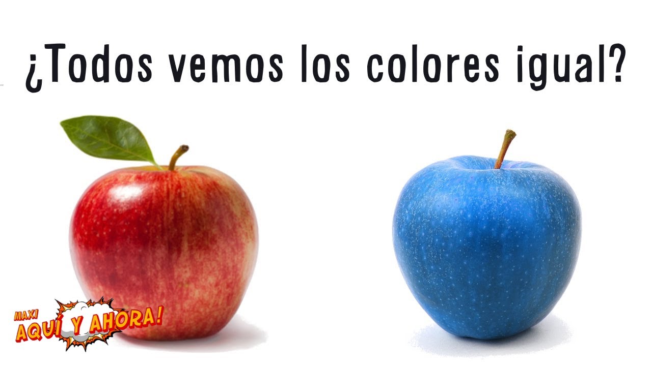 ¿Todos vemos los colores de la misma forma?