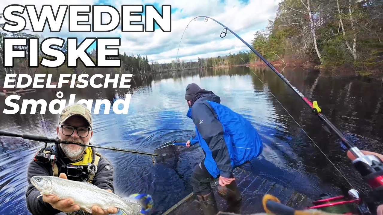 - Sweden Fiske - Angeln auf Edelfische im Sm&aring;land / Salmoniden / Forellen in Schweden