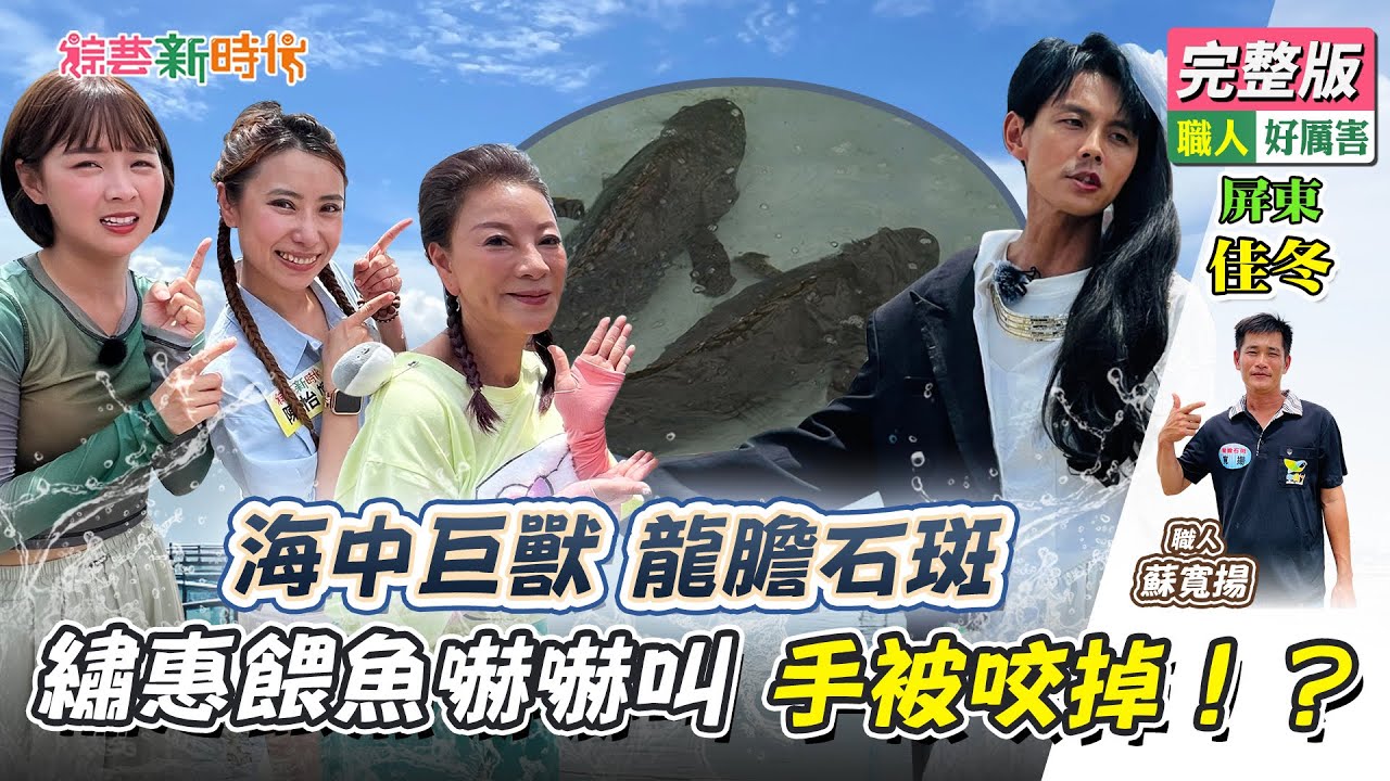 海中巨獸 龍膽石斑 繡惠餵魚嚇嚇叫 手被咬掉？！【綜藝新時代】 2024.06.14