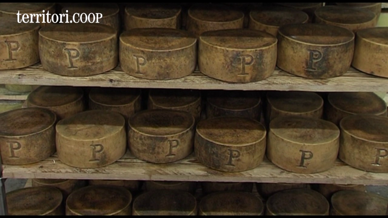 Pecorino Ma-trù, il sapore autentico dell'antica Amatrice