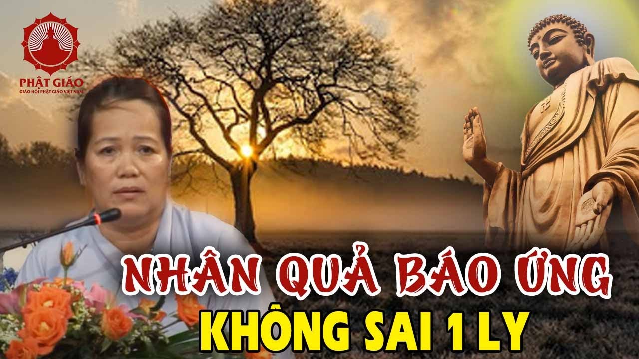 Nhân Quả Báo Ứng Không Sai 1 Ly - Câu chuyện có thật Phật tử Diệu Hiền | Phật Pháp Nhiệm Màu | PGVN