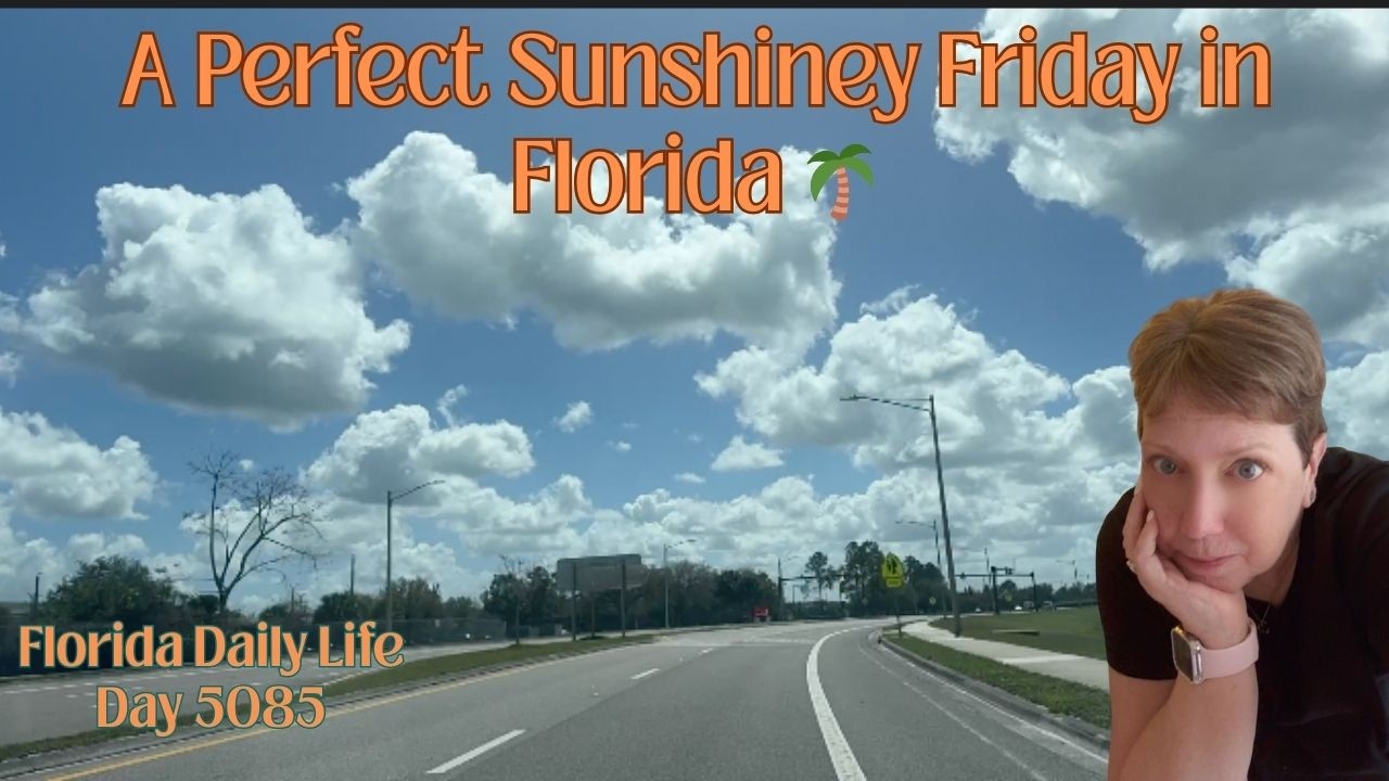Florida Daily Life/A Perfect Sunshiney Friday in Florida 🌴 (day 5085)