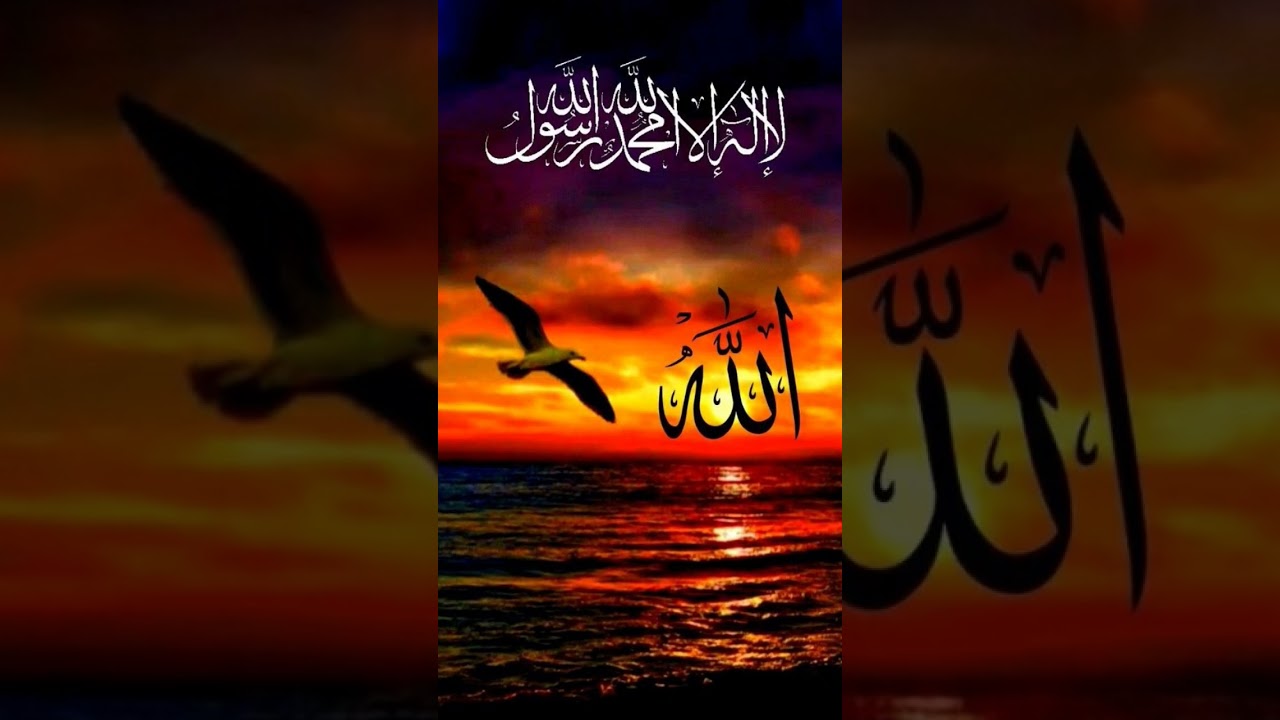 Al Quran Arabic version 🤲🕋🥀