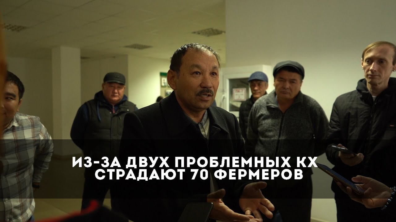 В Сырымском районе ЗКО из-за двух проблемных КХ получивших кредит, страдают 70 крестьянских хозяйств