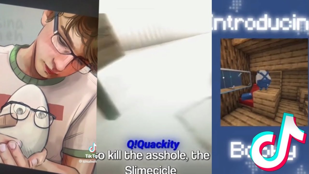Qsmp tiktok compilation #2