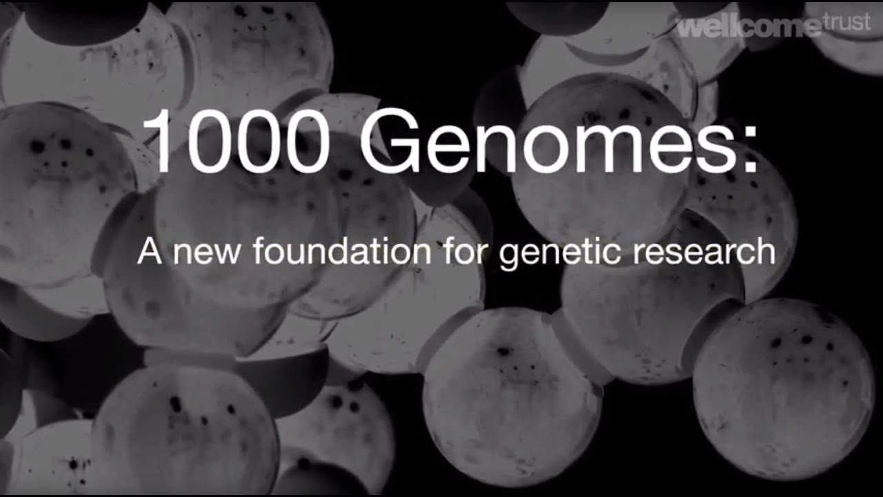 1000 Genomes: a new foundation for genetic research - Sanger Institute