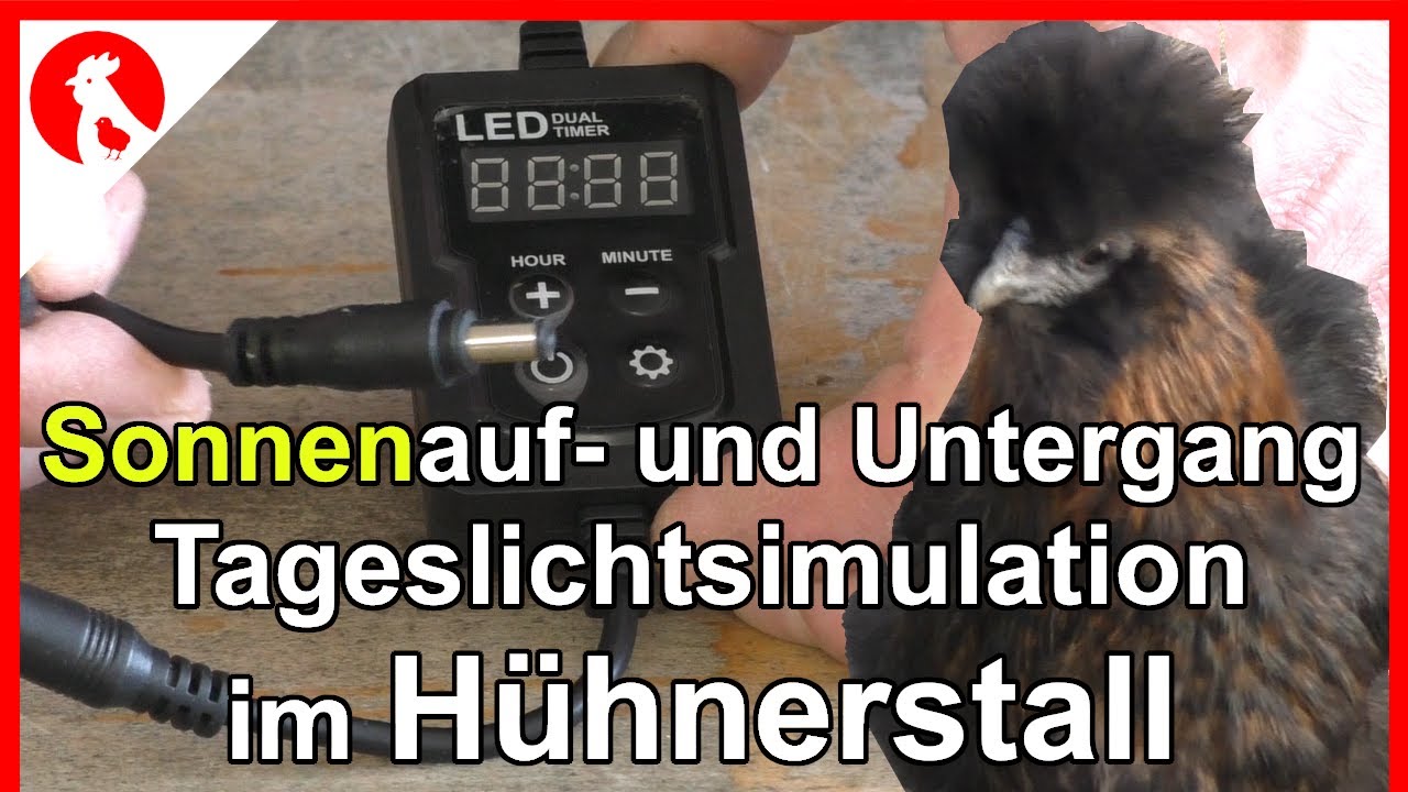 136 Sonnenauf- und Untergang im Hühnerstall - DIY Tageslichtsteuerung Chickenlight