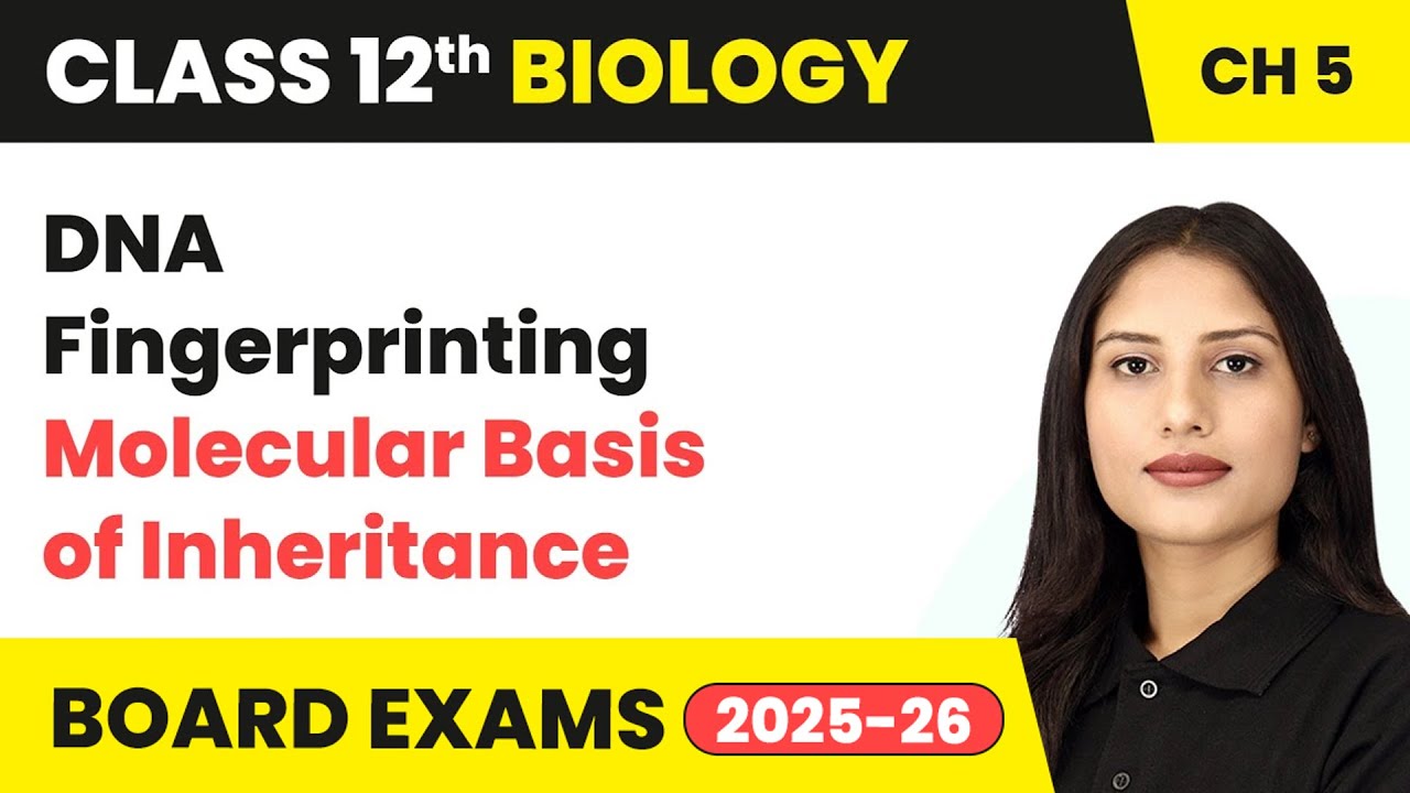 DNA Fingerprinting - Molecular Basis of Inheritance | Class 12 Biology Chapter 5 | CBSE 2025-26