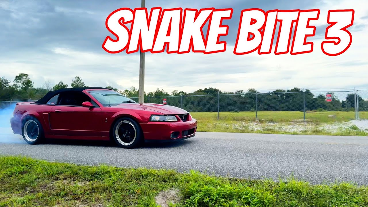 SNAKE BITE 3 4K Mustang Cobra with Kenne Bell Supercharger