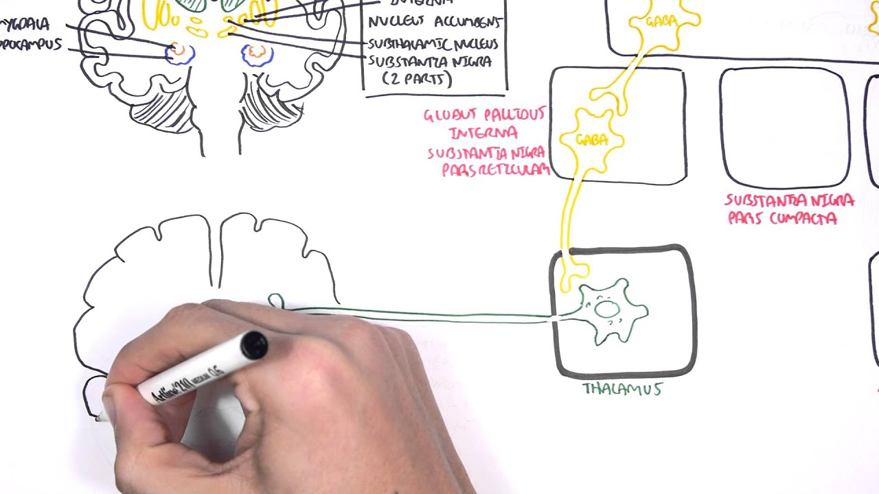 Parkinson's Disease (Shaking Palsy) - Clinical Presentation and Pathophysiology