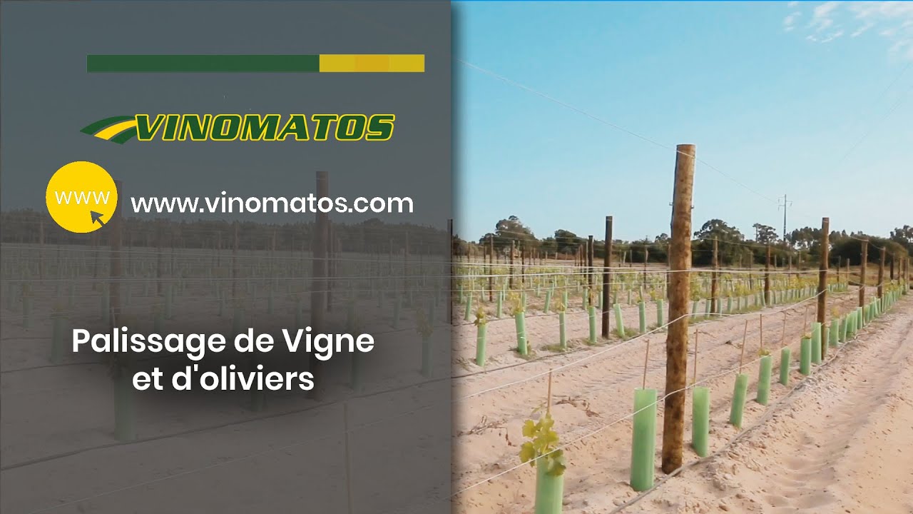 Vinomatos- services de palissage de vigne et d'oliviers