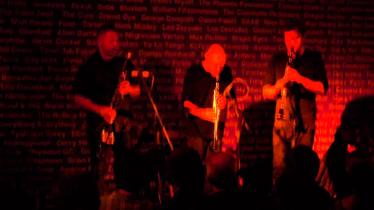 Harold Rubin & Mikołaj Trzaska & Paweł Szamburski (Pardon, To Tu, 25.08.2014)