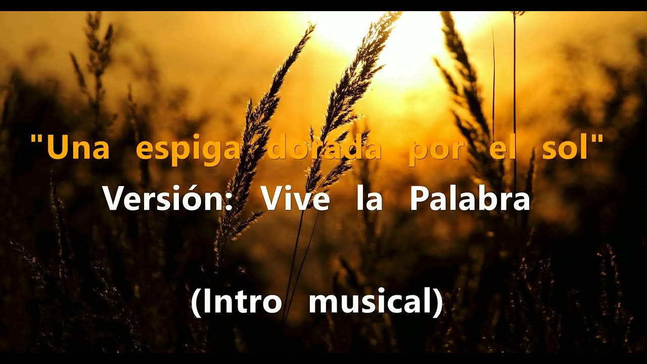 Una Espiga Dorada Por El Sol  KARAOKE CATÓLICO 006🎸Canto Cristiano  ⛪ Versión de Vive la Palabra