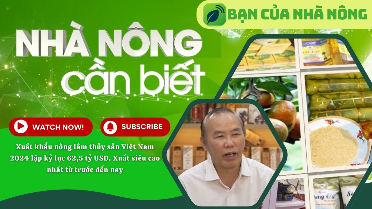 Xuất khẩu nông lâm thủy sản Việt Nam năm 2024 lập kỉ lục xuất siêu cao nhất từ trước đến nay