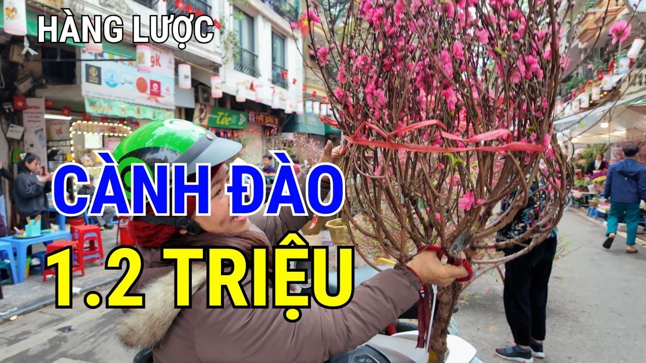 Sốc với giá đào Tết Hàng Lược: Vì sao cành đào 1,2 triệu vẫn hút khách?