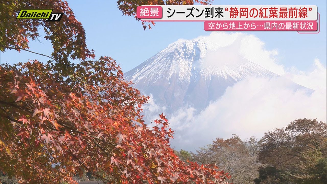 【絶景】“紅葉”シーズン到来！見頃迎えた県内各地のスポットを空陸取材でチェック…紅葉狩りでの専門家アドバイスも（静岡）