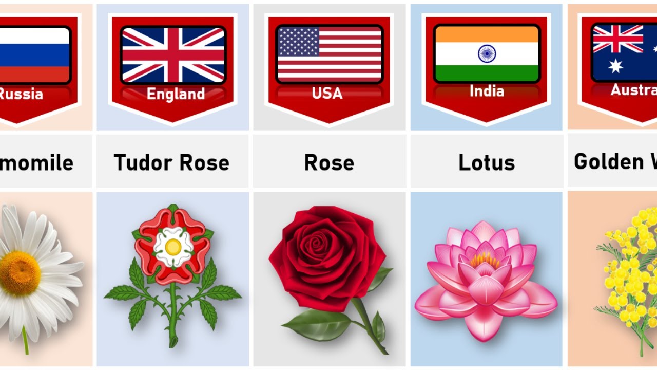 National Flower From Different Countries