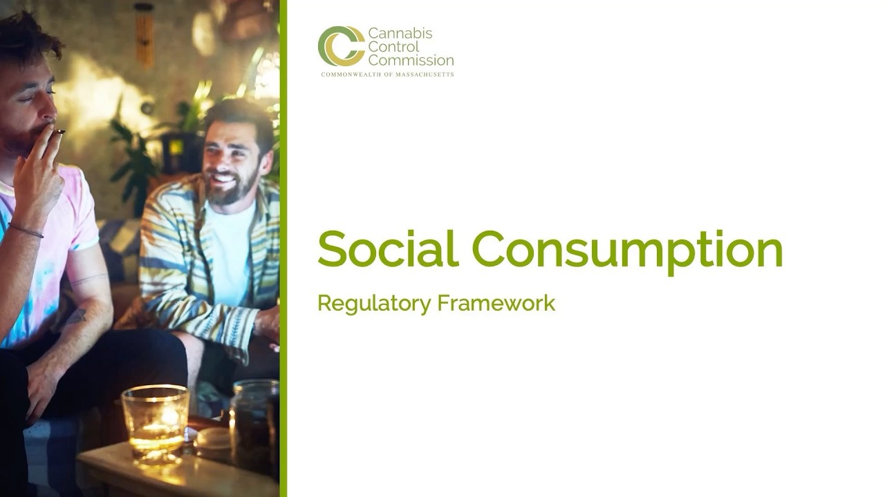Social Consumption Municipal Education Presentation | Subtitled