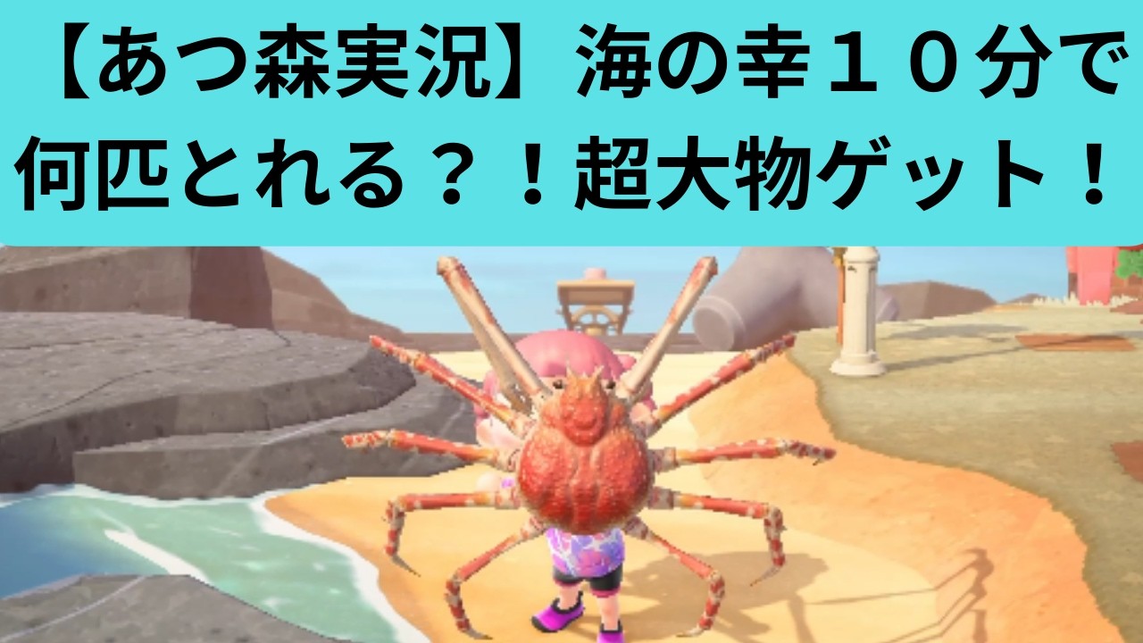 【あつ森実況】海の幸１０分で何匹とれる？！超大物ゲット！　あおいろミラクルチャンネル