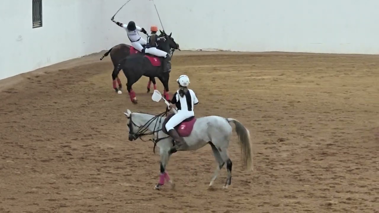 #poloworldchampionship #hprc #hyderabadpoloandridingclub #hyderabad #polo