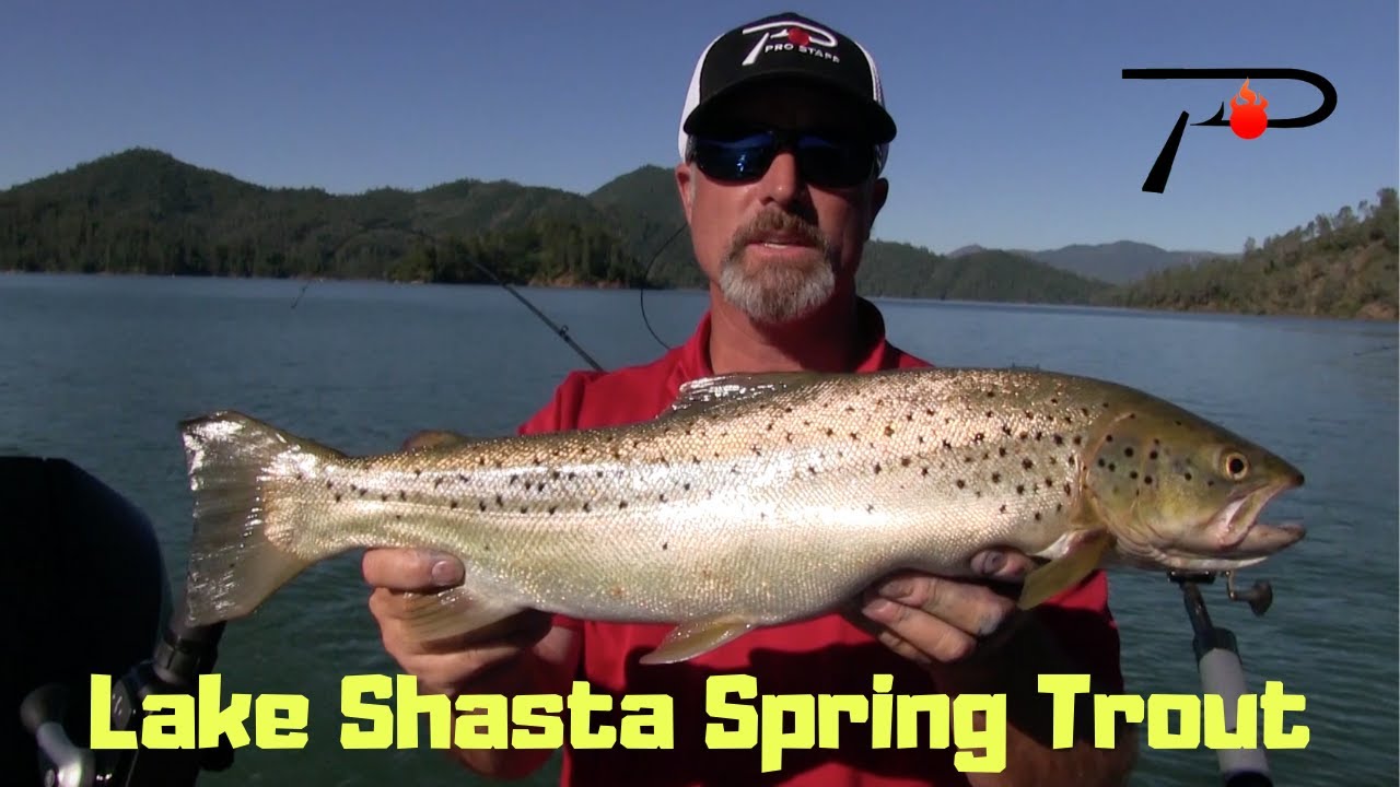 Trout Fishing Lake Shasta in the Spring