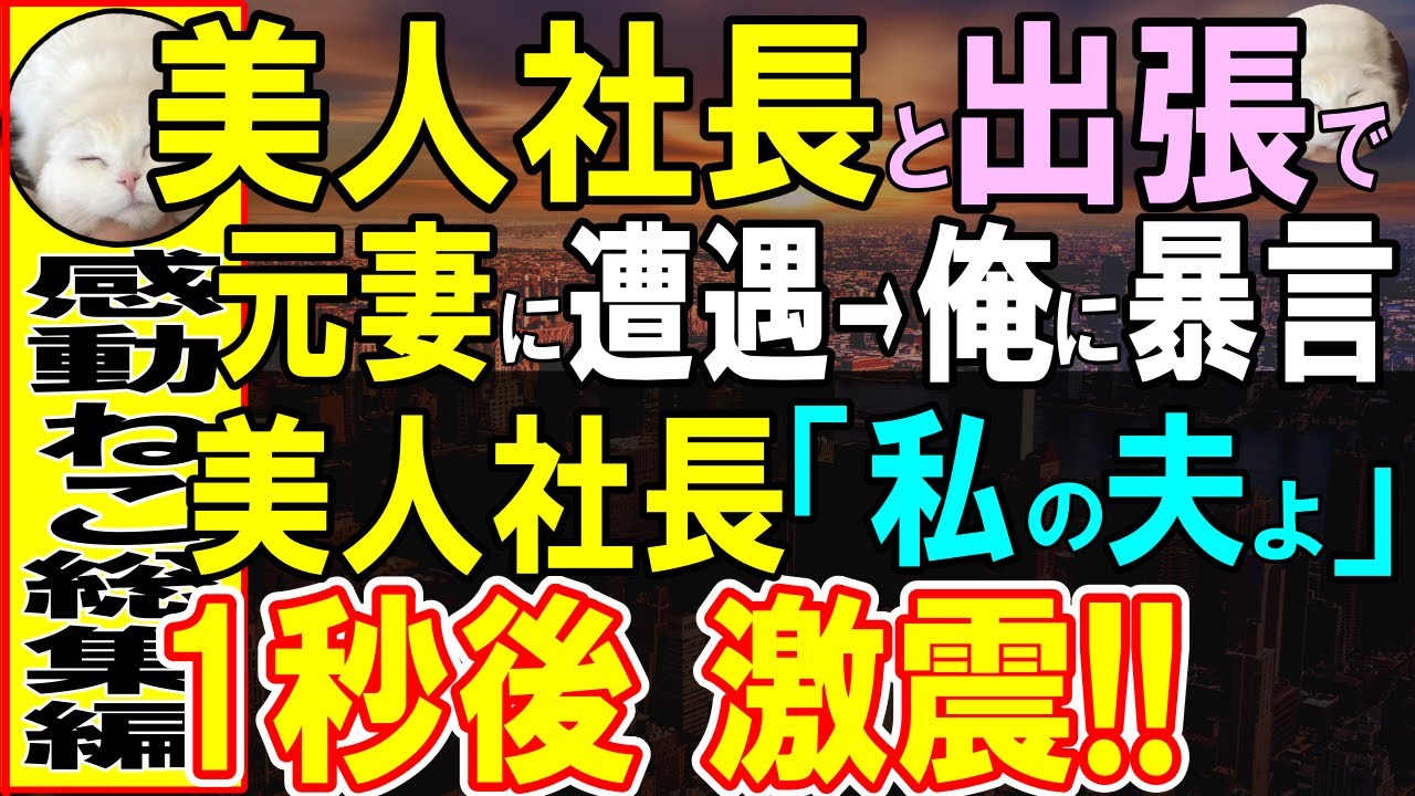 【感動する話】窓際社員の俺が美人支社長と出張へいくと俺を裏切った元妻に遭遇「貧乏人と別れて正解だったわw」美人支社長「私の夫に何か？」この後…【いい話・泣ける話・朗読・馴れ初め】