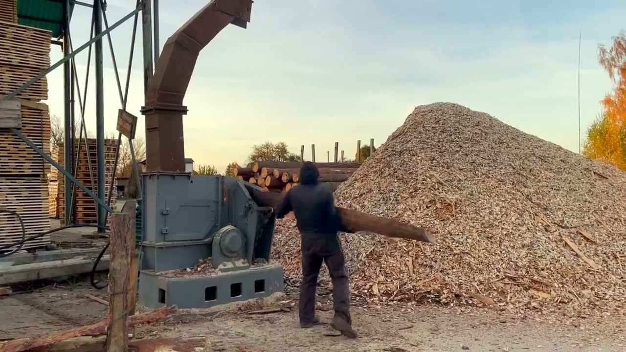 Grinding Wood Like a Pro | Fall Vibes 🍂