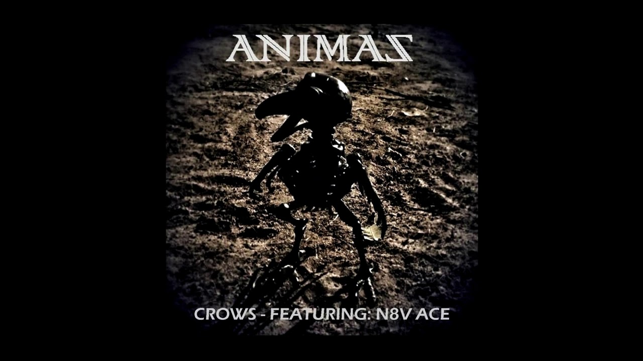 Crows - Animas Featuring: N8V ACE