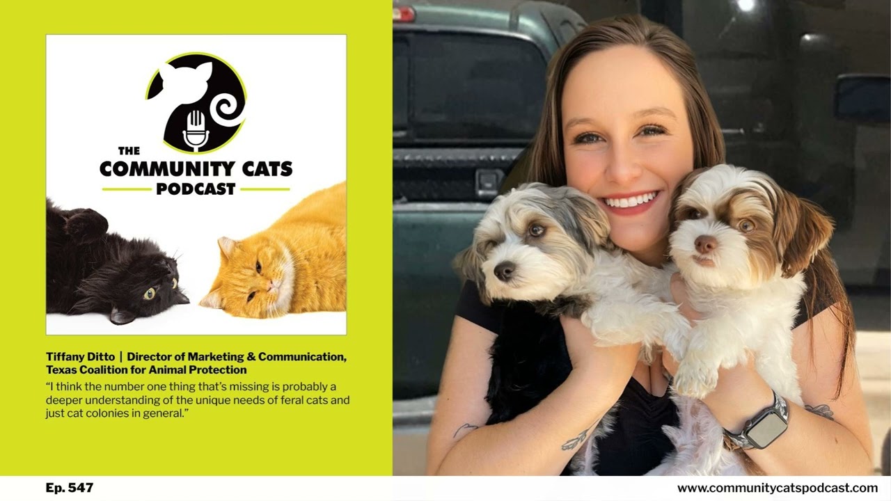547: The Free Feral Fix in Texas with Tiffany Ditto, Director of Marketing and Communication at...